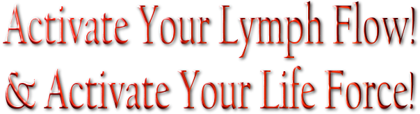 Activate Your Lymph Flow & Activate Your Life Force | Fun Health Bounce | Rebounder - Mini-Tramp - Lymphsizer - ReboundAIR - Needak - JumpSport Fitness Trampoline - Cellerciser