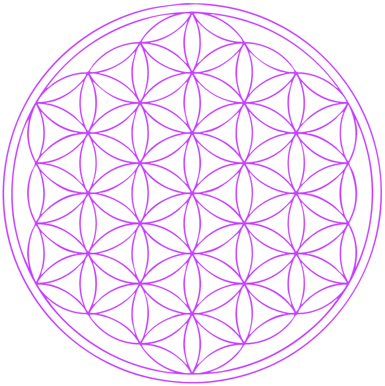 Multi-dimensional Cosmic Flower of Life | Dr Stephen Ezra West | Tree of Life | Light Keeper